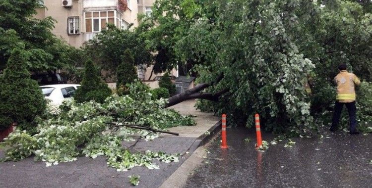 Kadıköy’de fırtına nedeniyle ağacın devrilme anı kamerada