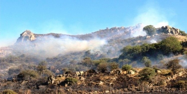Bodrum'da 3 saat süren yangında 10 hektarlık alan kül oldu