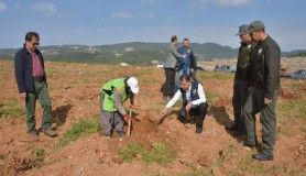 Mersin'de kaçak kesim yapılan alan şehitler için hatıra ormanına dönüştürüldü