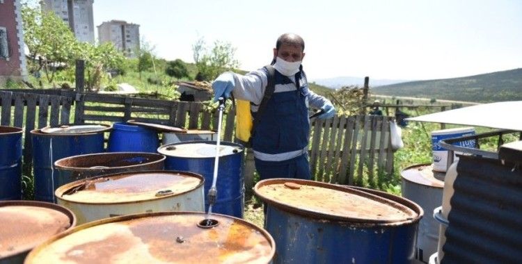 Tuzla'da zararlı haşerelere karşı ilaçlama devam ediyor