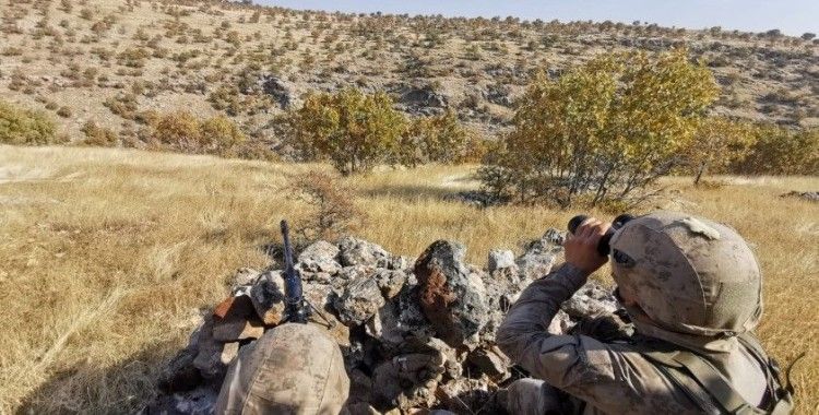Mardin'de terör örgütü PKK ve işbirlikçilerine şafak vakti operasyon