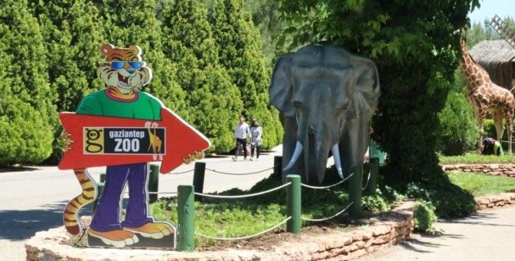 Türkiye’nin en büyük hayvanat bahçesi 2,5 ay sonra kapılarını açtı