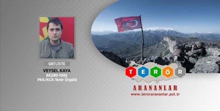 Bitlis'te etkisiz hale getirilen bir teröristin daha gri listede olduğu belirlendi