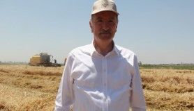 TMO Genel Müdürü Ahmet Güldal: "Hububat ödemelerini bugün başlatıyoruz" 