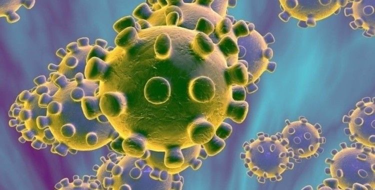Fransa Bilim Kurulu Başkanı Delfraissy: 'Koronavirüs kontrol altında'