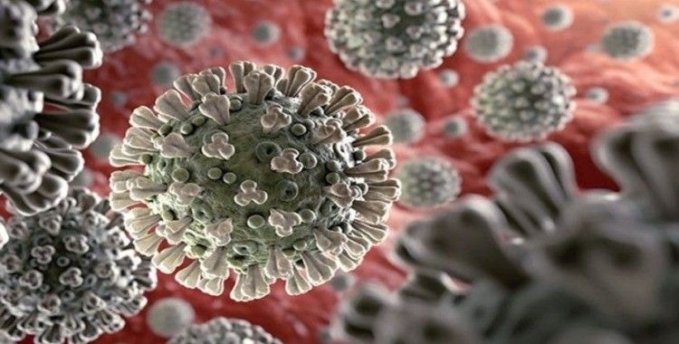 Yeni Zelanda'da 16 gündür yeni koronavirüs vakası görülmüyor