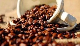 Kahve yatırımcıya acı geldi