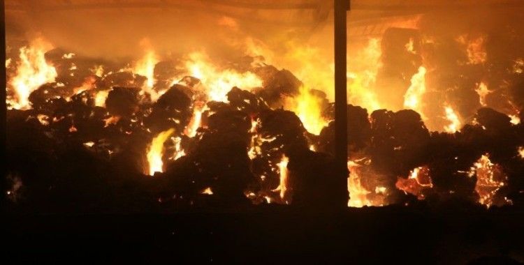 Aksaray'da yem fabrikası ve yonca deposu alev alev yanıyor
