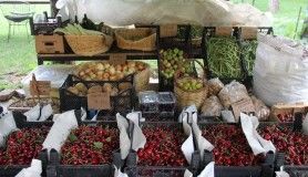 Ogliv'den kırsal ve kentsel kalkınmayı buluşturma projesi