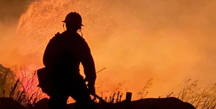 ABD'de aşırı sıcak ve orman yangını alarmı