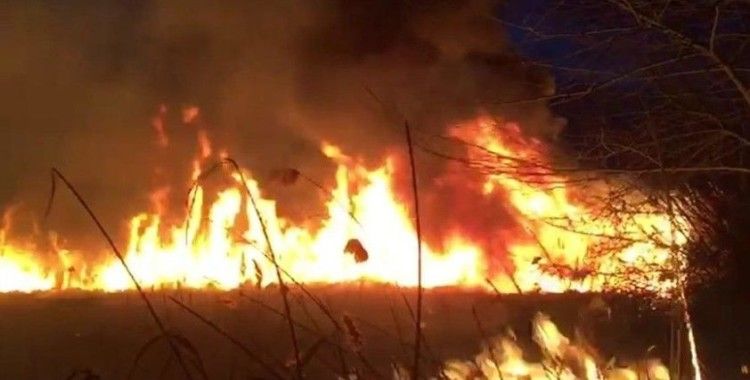 Bornova'da otluk alanda yangını