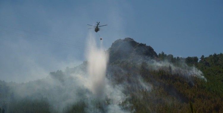 Antalya'da orman yangınında 3 hektar alan kül oldu