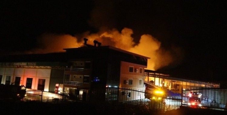 Antalya’da soğuk hava deposundaki yangın kontrol altına alındı