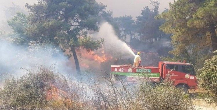 Gelibolu'da poyraz yangın söndürme işini zorlaştırıyor