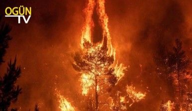 Haber Turu 7 Temmuz 2020 Salı