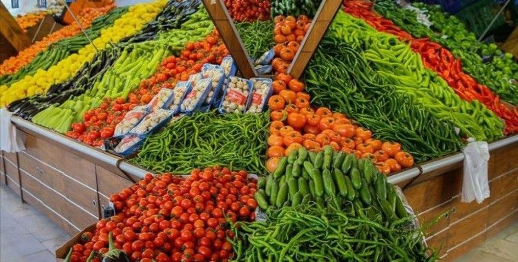 Rusya'ya yaş meyve sebze ihracatı yılın ilk yarısında yüzde 32 arttı