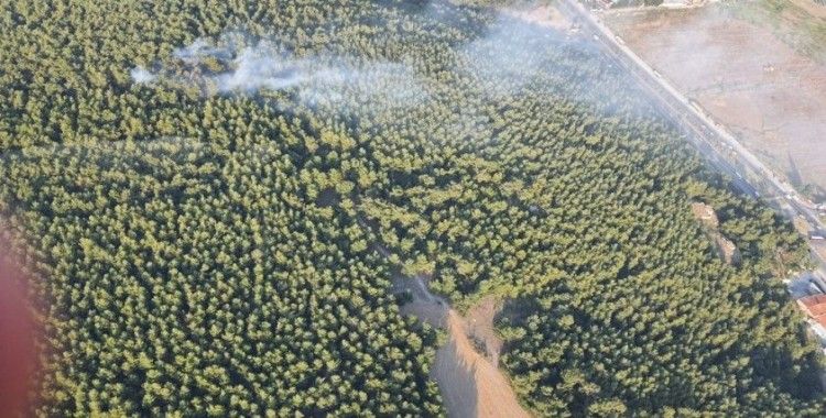  İzmir’de korkutan orman yangını kontrol altında