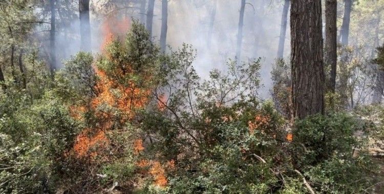 Sarıyer'de 500 metrekarelik alan alev alev yandı