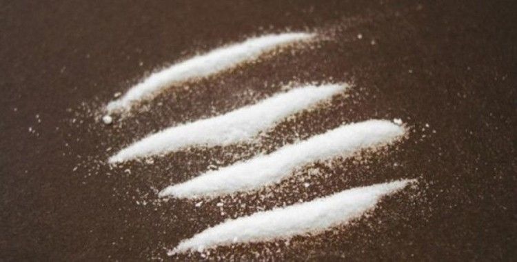 Kapıkule'de bir tırda 135 bin uyuşturucu hap ve 2 kilo kokain ele geçirildi