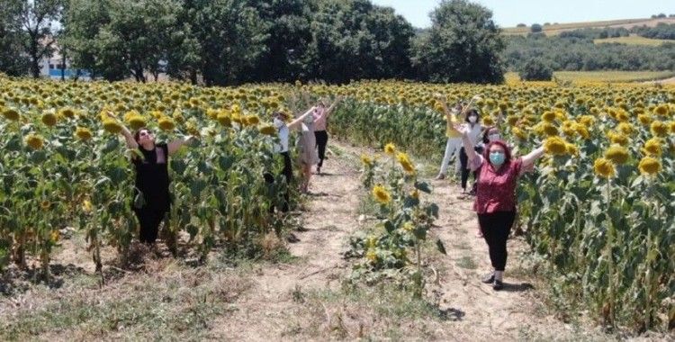 Kadınlar azmetti, 1,5 milyon metrekarelik boş arazi ayçiçek tarlasına döndü