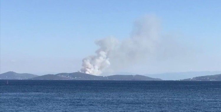 İstanbul Heybeliada'da orman yangını çıktı