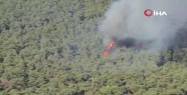 Heybeliada'daki yangına çok sayıda araç ve helikopterle müdahale edildi