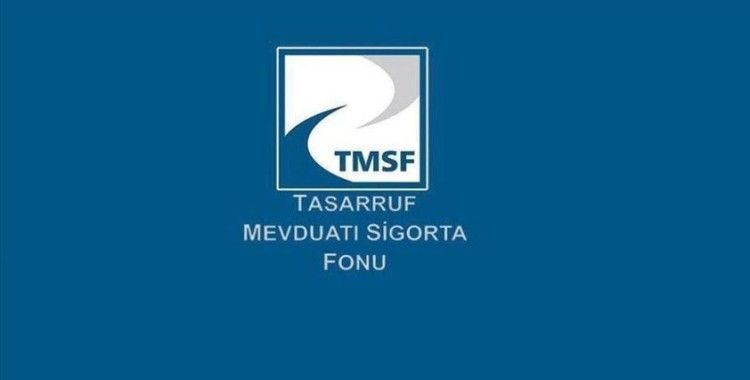 FETÖ'nün hain darbe girişimi sonrası TMSF'ye devredilen şirketlerin aktifleri yüzde 43 arttı