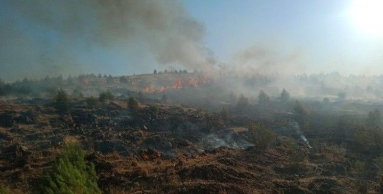 Gaziantep'te orman yangınında 2 hektarlık alan zarar gördü