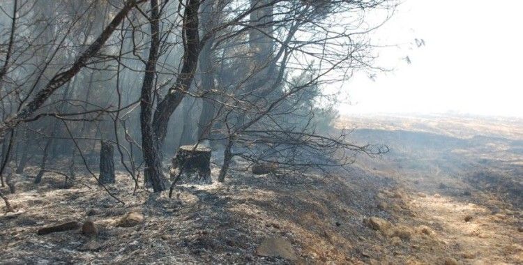 Saros'da ormanlık alandaki yangın kontrol altına alındı