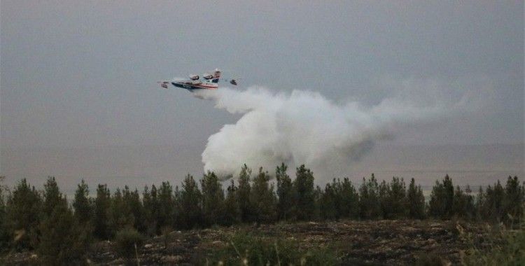 Şanlıurfa'daki orman yangını kontrol altına alındı