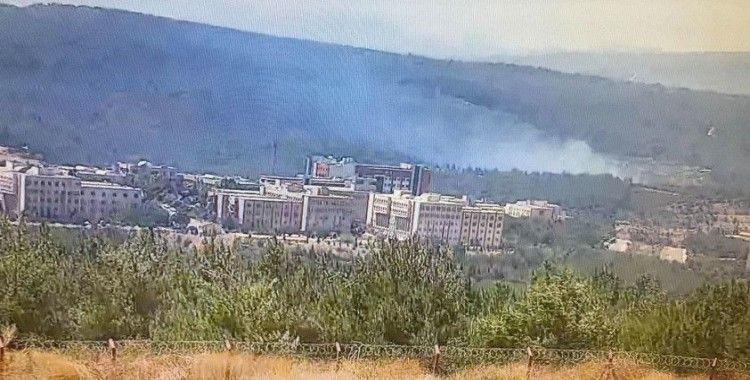 İzmir'de ormanlık alanda yangın paniği