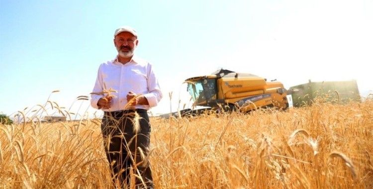 Kayseri'de 10 bin yıllık siyez buğdayının hasadı yapıldı