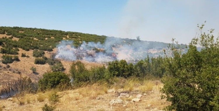 Denizli'de orman yangına havadan ve karadan müdahale ediliyor