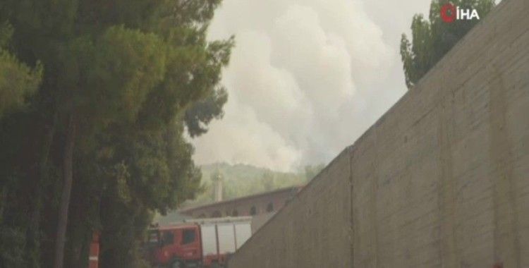 Yunanistan’daki orman yangınları söndürülemiyor