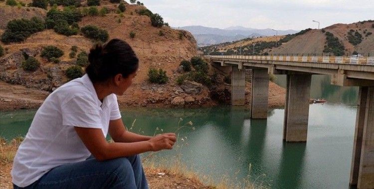 Gülistan Doku'nun bulunması için Uzunçayır Baraj Gölü'deki çalışmalar sürüyor