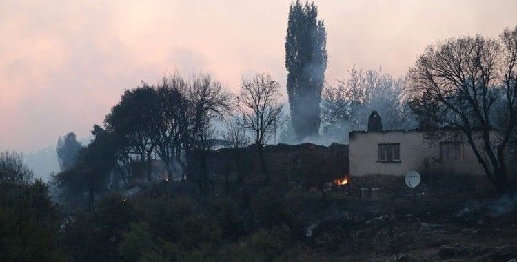 Ahmetli'deki orman yangınının hasar tespit çalışmaları başladı