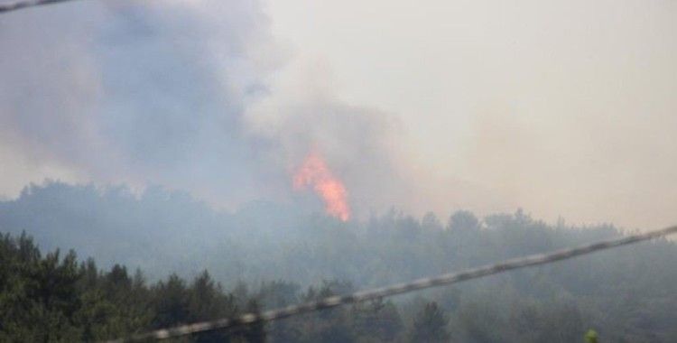 Menderes'teki yangını söndürme çalışmaları sürüyor