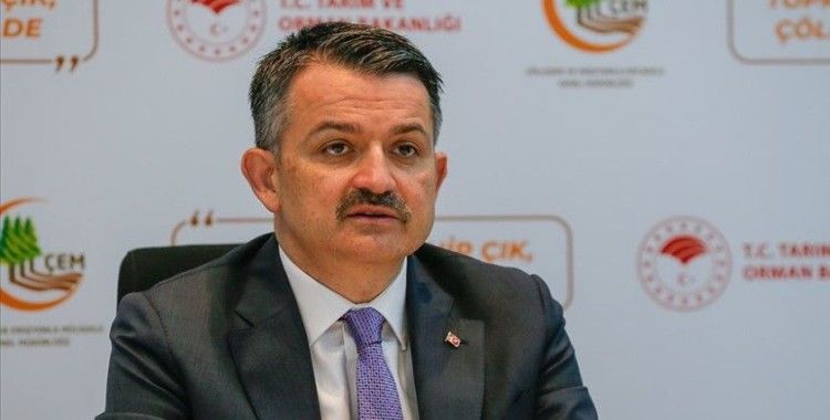 Bakan Pakdemirli: 'Uşak, İzmir, Denizli ve Bursa’daki yangınlar kontrol altına alındı'