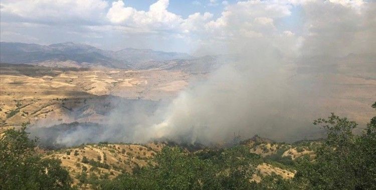 Siirt'te ormanlık alanda yangın çıktı