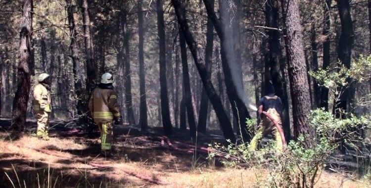 Pendik Kaymakamlığından Aydos Ormanındaki yangına ilişkin açıklama