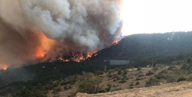 Bolu'da, orman yangınında 1 dönümlük alan zarar gördü