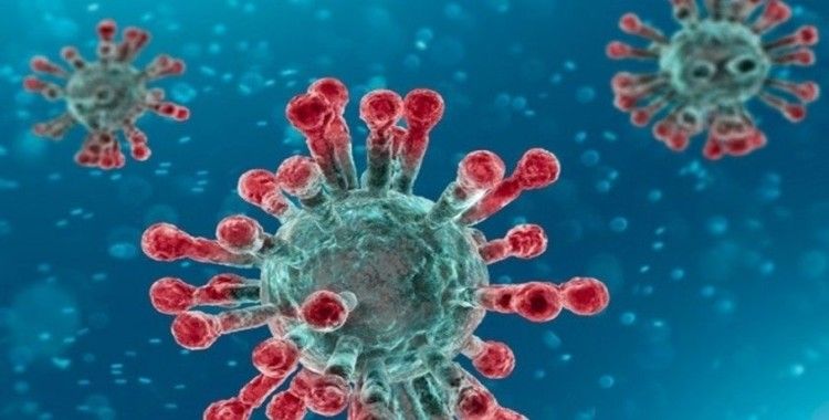 Irak'ta son 24 saatte 3 bin 461 kişide koronavirüs tespit edildi
