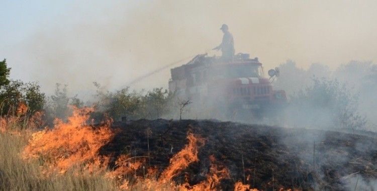 Bulgaristan'da yangınlar nedeniyle 4 ilçede felaket durumu ilan edildi