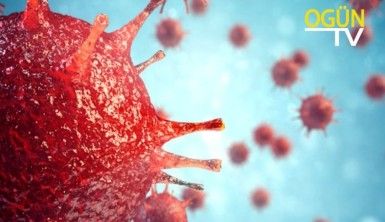 Haber Turu 8 Ağustos 2020 Cumartesi