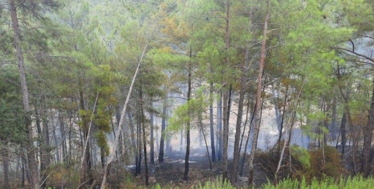 Manavgat’ta orman yangını büyümeden söndürüldü