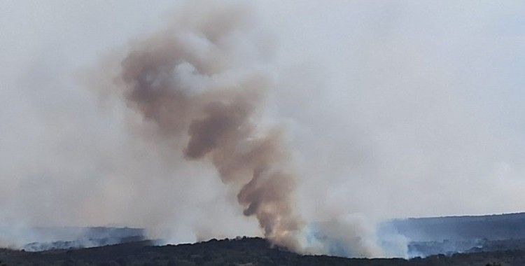 Bulgaristan'daki orman yangını katlanarak büyüyor