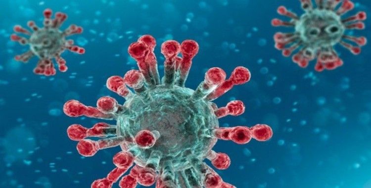 Yeni Zelanda'da 102 gün sonra koronavirüs vakası tespit edildi