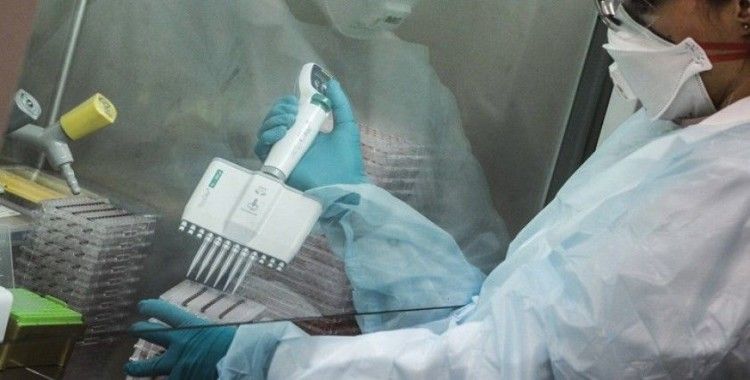 Putin'den aşı müjdesi