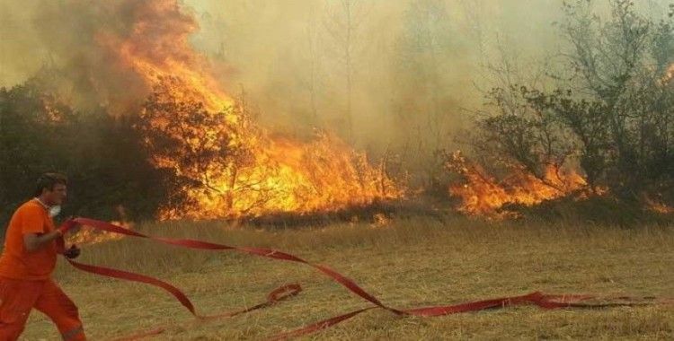 Sakarya'da ormanlık alanda yangın
