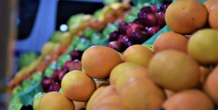 Yaş meyve sebze ihracatına Doğu Akdeniz 'damgası'